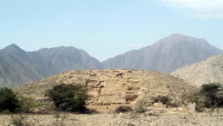 2905489ed51a29d9fdd91d744fe60d3748e67a88